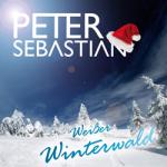 08-12-2014 - toi-records - Bemusterung Peter_Sebastian.jpg